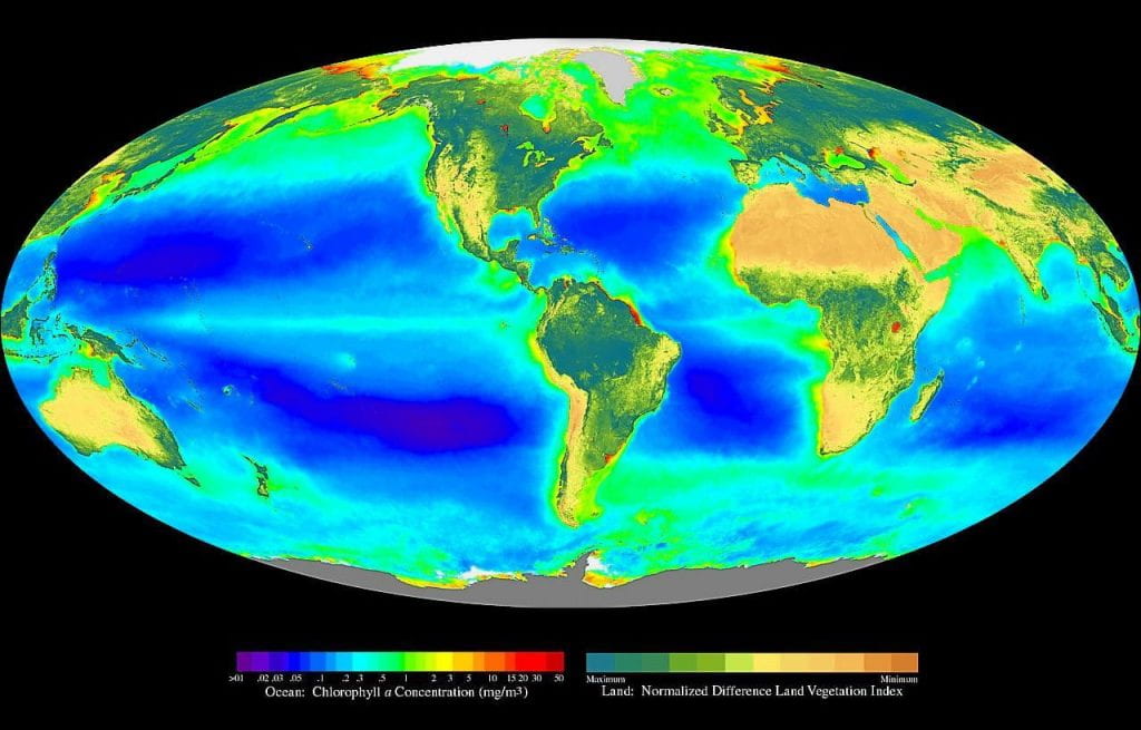 Global oceanic and terrestrial photoautotroph abundance, from September 1997 to August 2000, provides an estimate of autotroph biomass and serves as a rough indicator of primary production potential. (Source: "Seawifs global biosphere" by Provided by the SeaWiFS Project, Goddard Space Flight Center and ORBIMAGE - http://oceancolor.gsfc.nasa.gov/SeaWiFS/BACKGROUND/Gallery/index.html and from en:Image:Seawifs global biosphere.jpg. Licensed under Public Domain via Commons)
