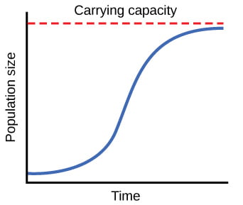 When resources are limited, populations exhibit logistic growth. In logistic growth, population expansion decreases as resources become scarce, and it levels off when the carrying capacity of the environment is reached, resulting in an S-shaped curve. Source: OpenStax Biology