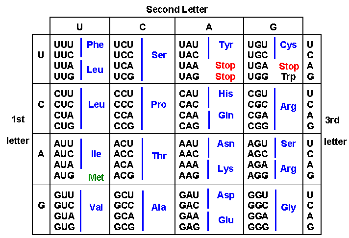 The universal genetic code chart