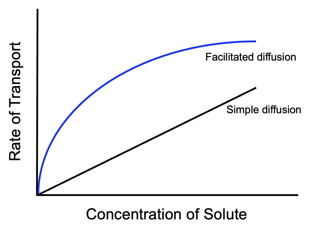 Diffusion kinetics